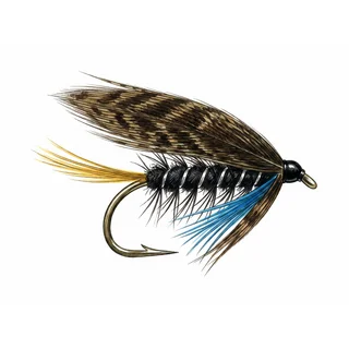 Black Dabbler — house-style illustration