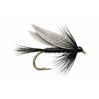 Black Gnat — house-style illustration