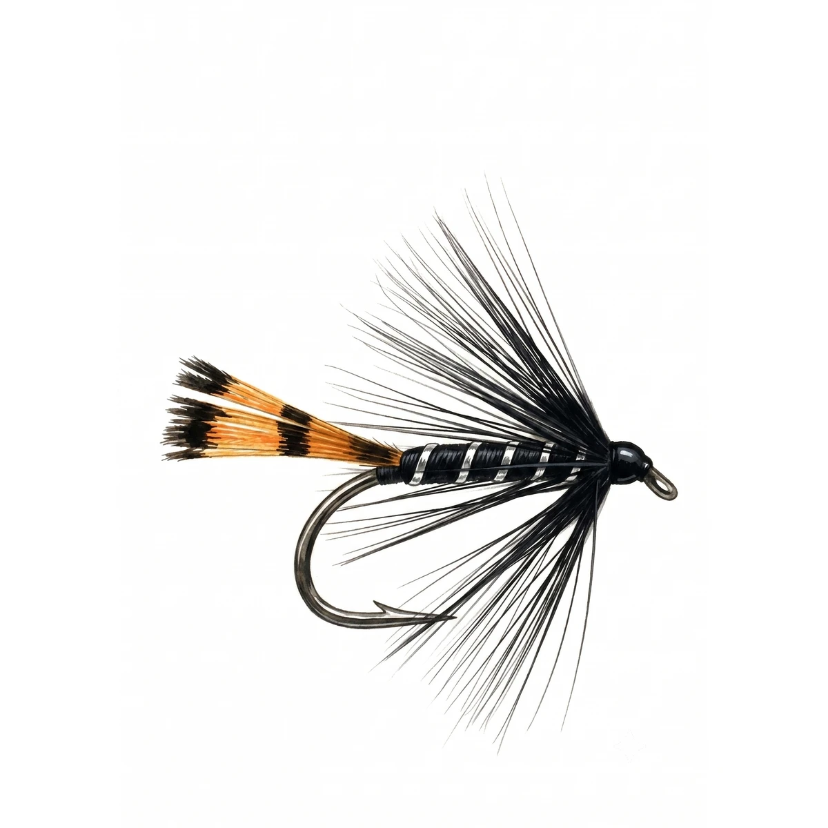 Black Pennell — house-style illustration