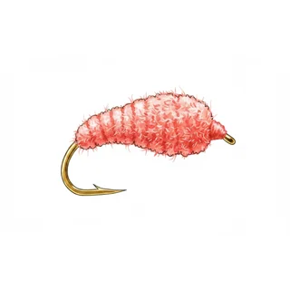 Coral Blob — house-style illustration