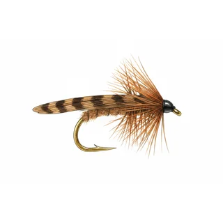 Brown Sedge — house-style illustration