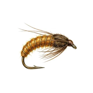 Caddis Pupa — house-style illustration