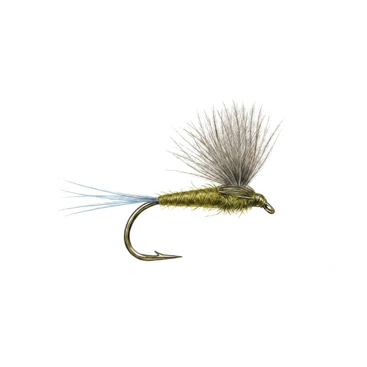 CDC Olive Dun — house-style illustration