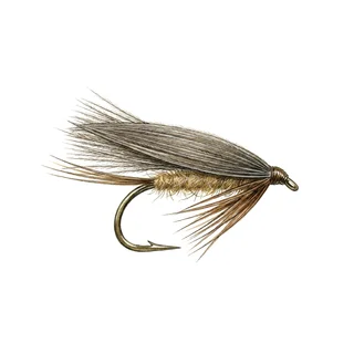 CDC Sedge — house-style illustration