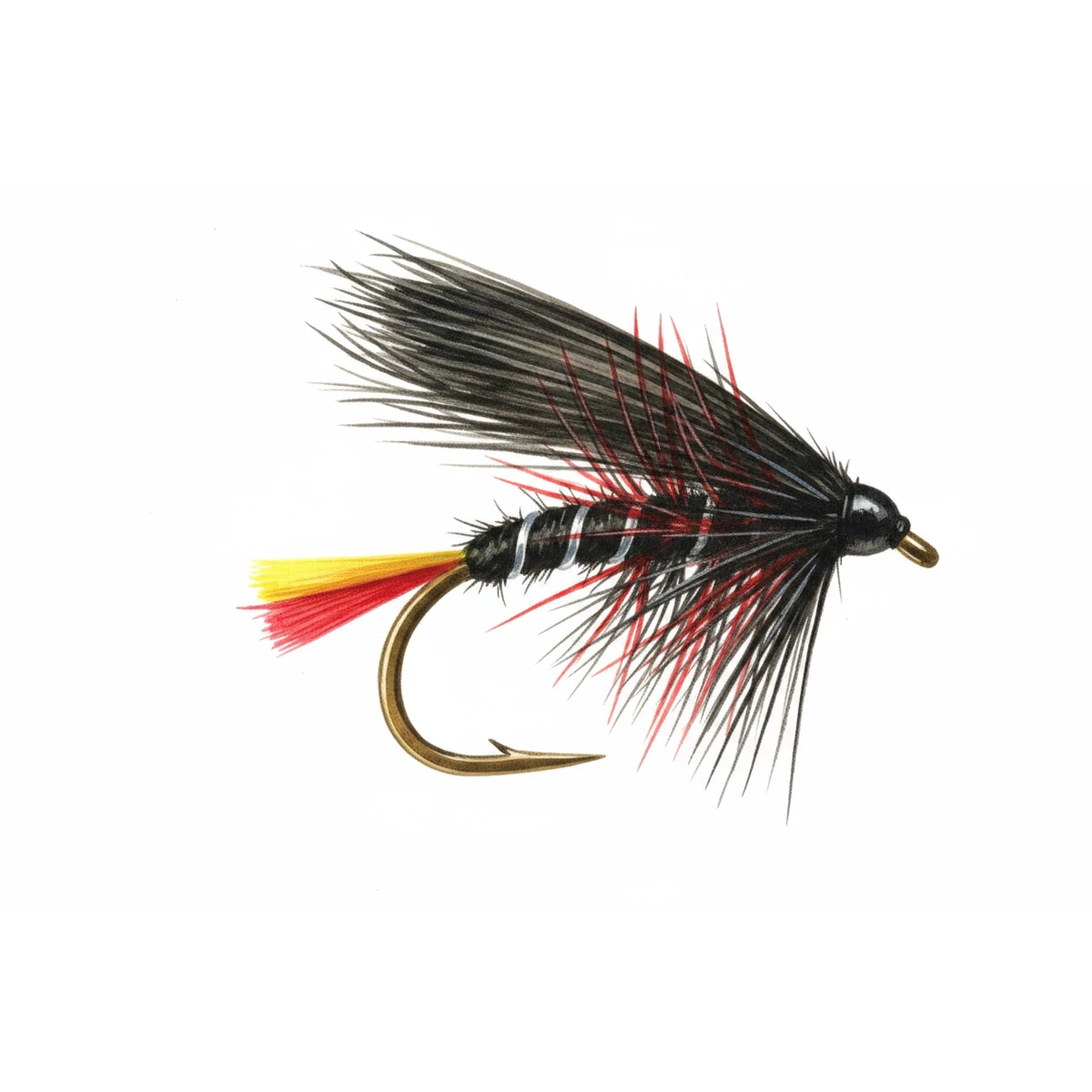 Clan Chief — house-style illustration