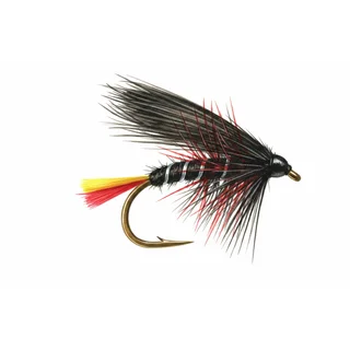 Clan Chief — house-style illustration