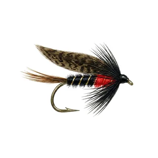 Cock Robin — house-style illustration