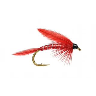 Cormorant (red holo) — house-style illustration