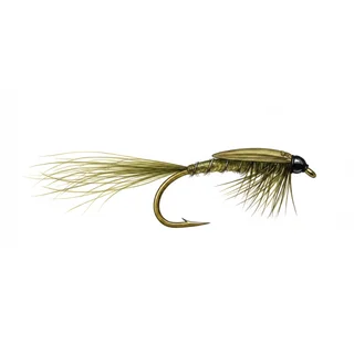 Damsel Nymph — house-style illustration