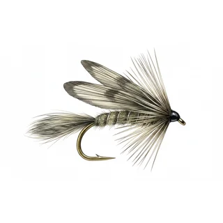 Dry Mayfly — house-style illustration