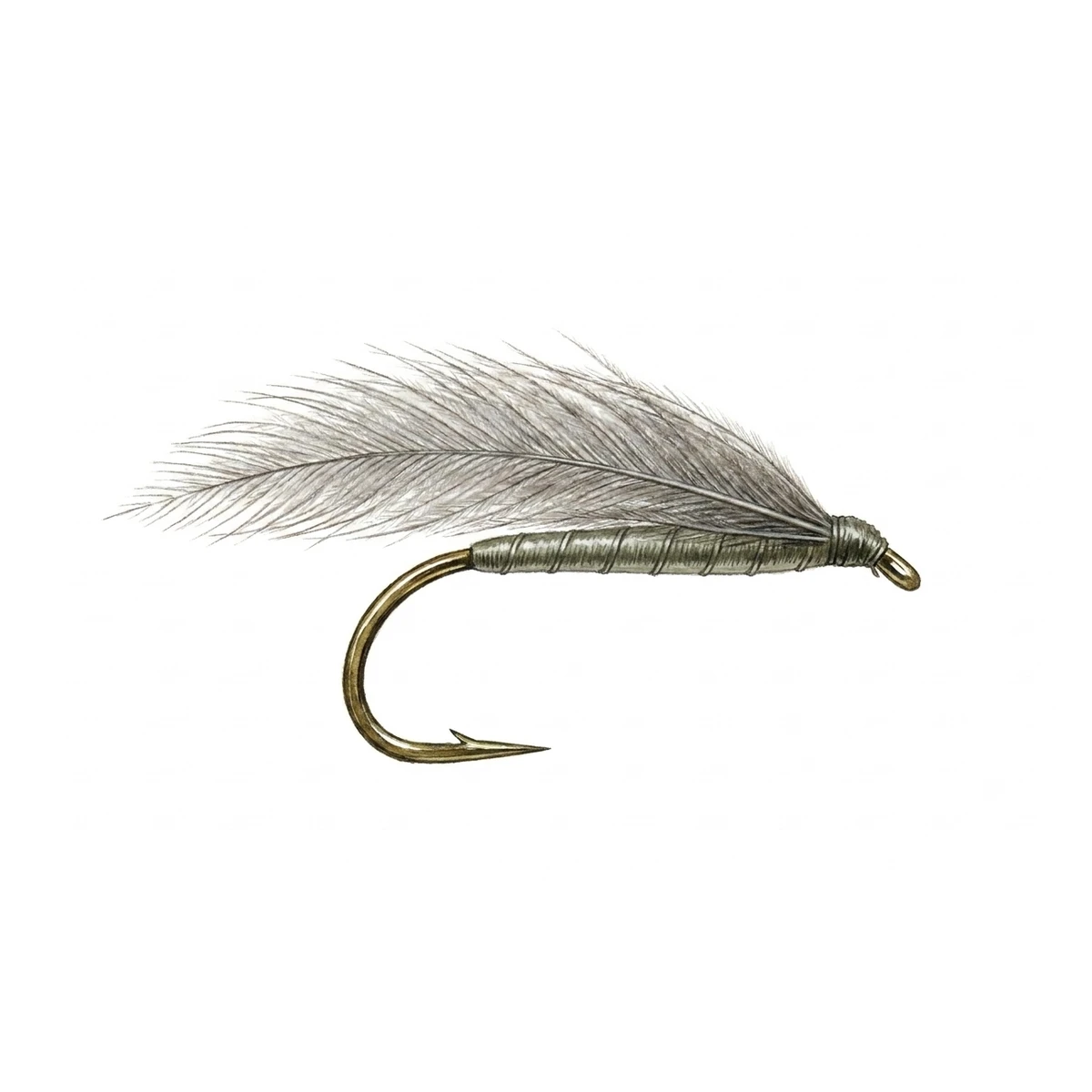 F-Fly — house-style illustration