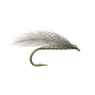 F-Fly — house-style illustration