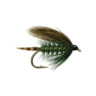 Green Dabbler — house-style illustration