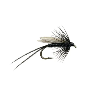 Hawthorn Fly — house-style illustration