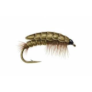 Hog Louse — house-style illustration