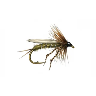 Olive Hopper — house-style illustration
