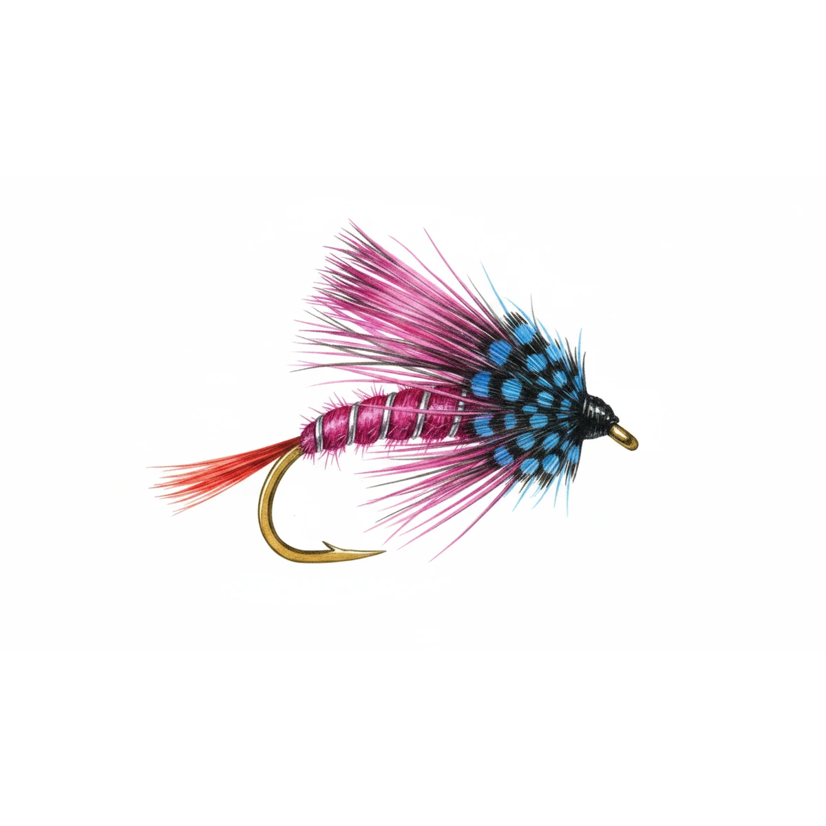 Magenta Bumble — house-style illustration