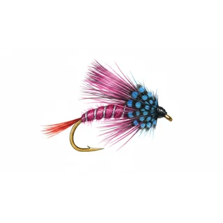 Magenta Bumble — house-style illustration