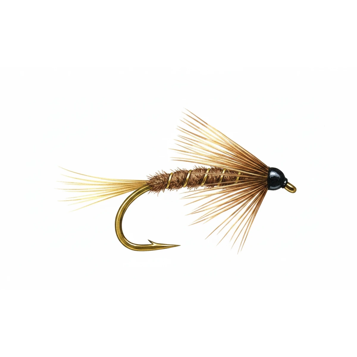 March Brown — house-style illustration