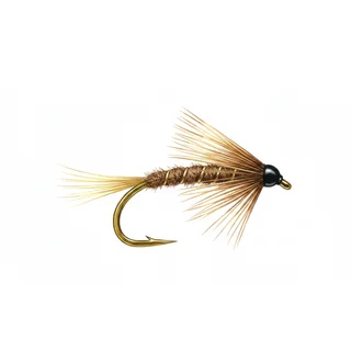 March Brown — house-style illustration