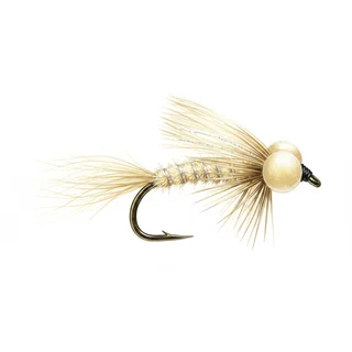 Mayfly Booby — house-style illustration