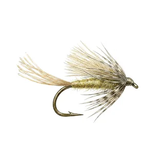 Mayfly Emerger — house-style illustration