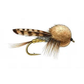 Muddler Minnow — house-style illustration