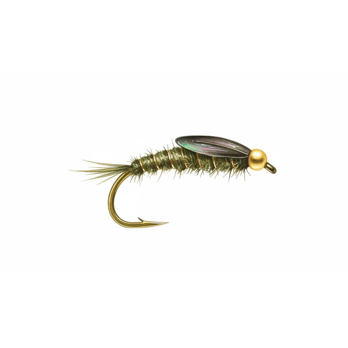 Olive Nymph — house-style illustration