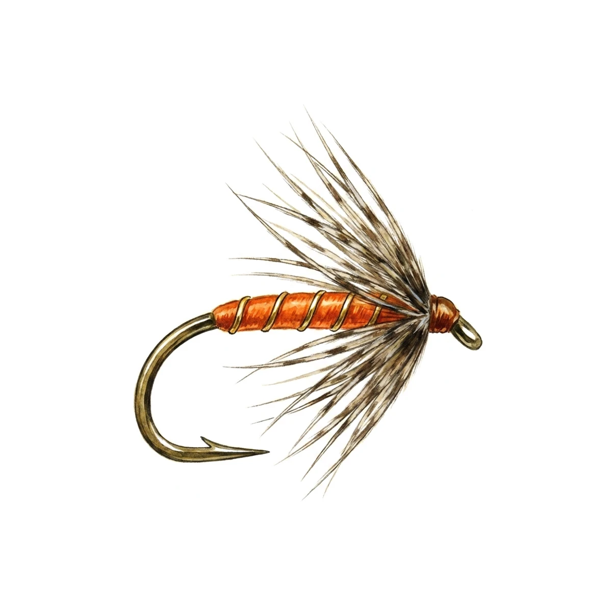 Partridge & Orange — house-style illustration