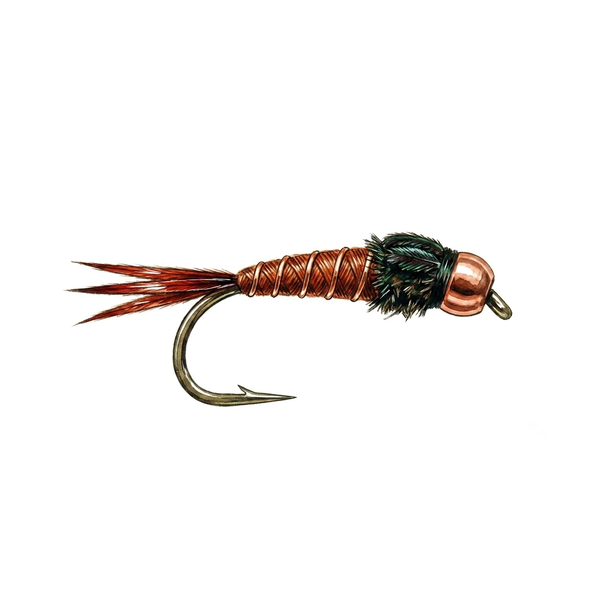 Jig Pheasant Tail Nymph — house-style illustration