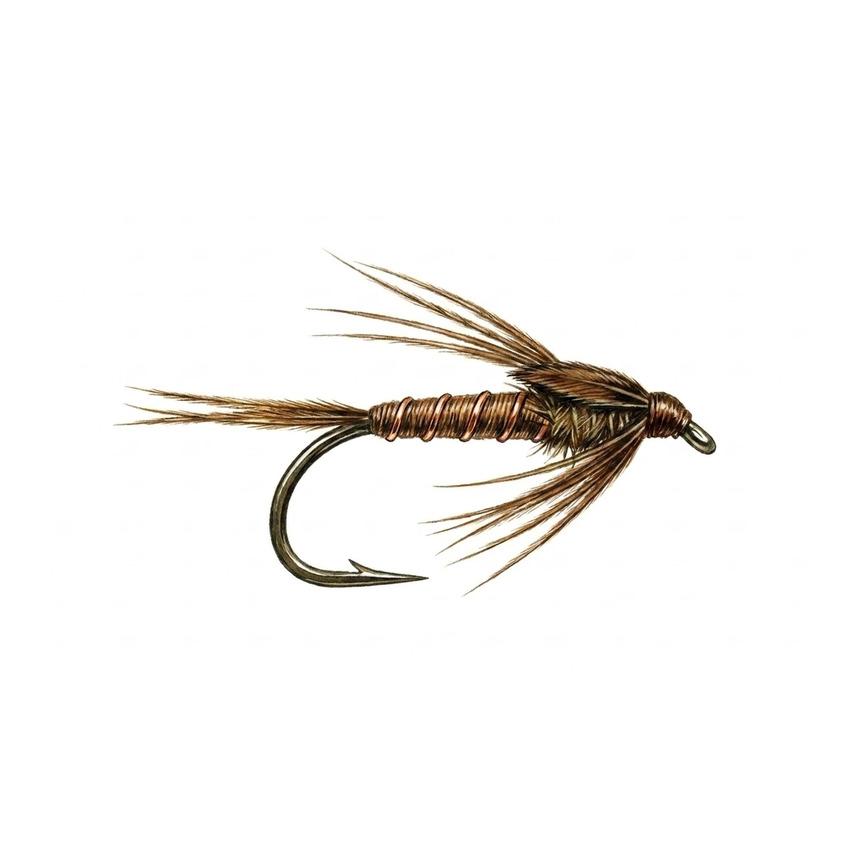 Pheasant Tail Nymph — house-style illustration