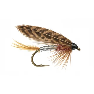 Silver Dabbler — house-style illustration