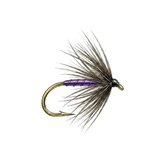 Snipe & Purple — house-style illustration