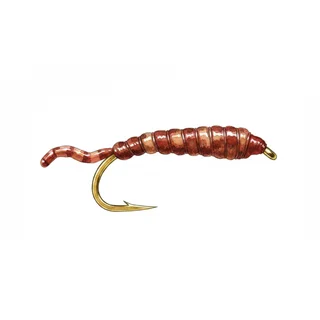 Squirmy Worm (natural) — house-style illustration
