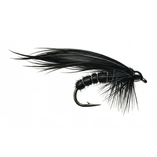 Black Woolly Bugger — house-style illustration
